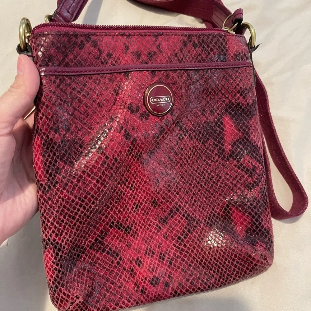 Coach Crossbody Snake Print Elegant Crossbody Bag 9x8